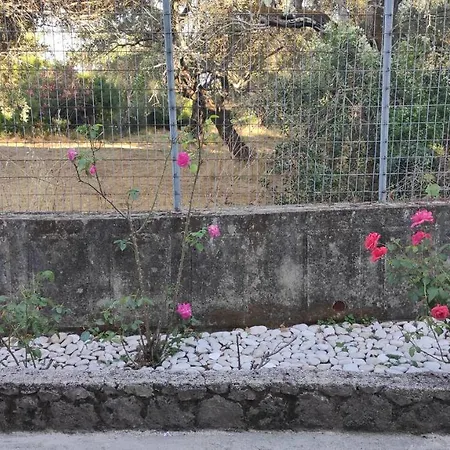 Anastasia's House, Kato Korakiana, Corfu Dassia (Corfu)