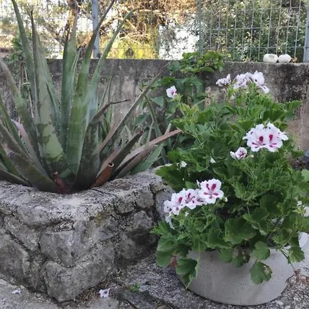 Anastasia's House, Kato Korakiana, Corfu Δασιά
