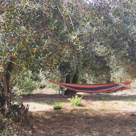 Anastasia's House, Kato Korakiana, Corfu Dassia (Corfu)