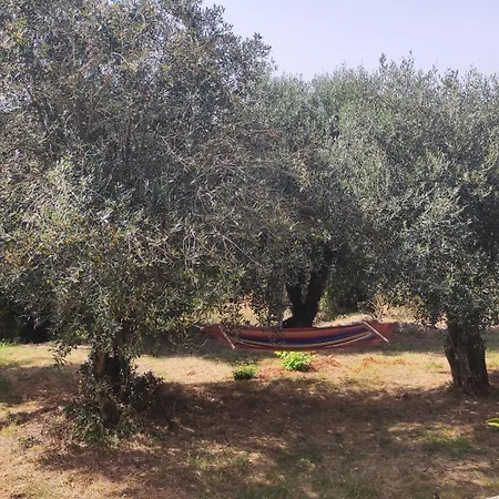 Anastasia's House, Kato Korakiana, Corfu Dassia (Corfu)